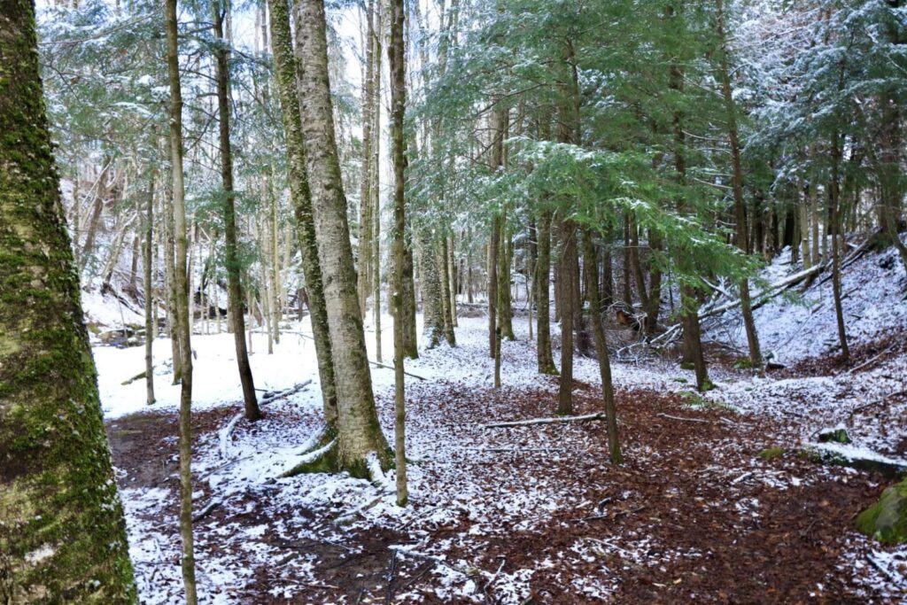 Deerfield Wilderness Park