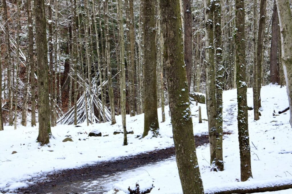 Deerfield Wilderness Park