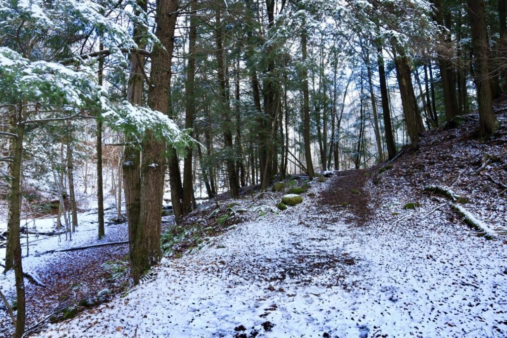 Deerfield Wilderness Park