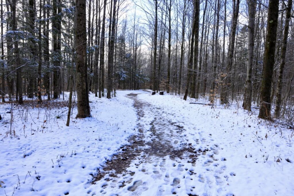 Deerfield Wilderness Park