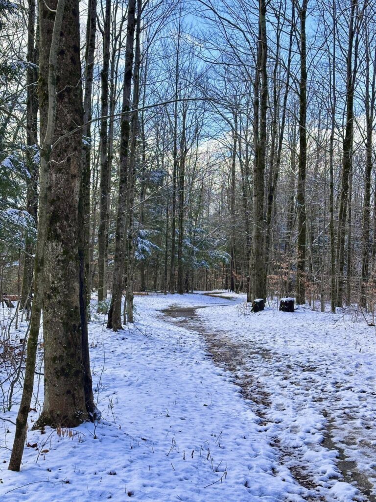 Deerfield Wilderness Park