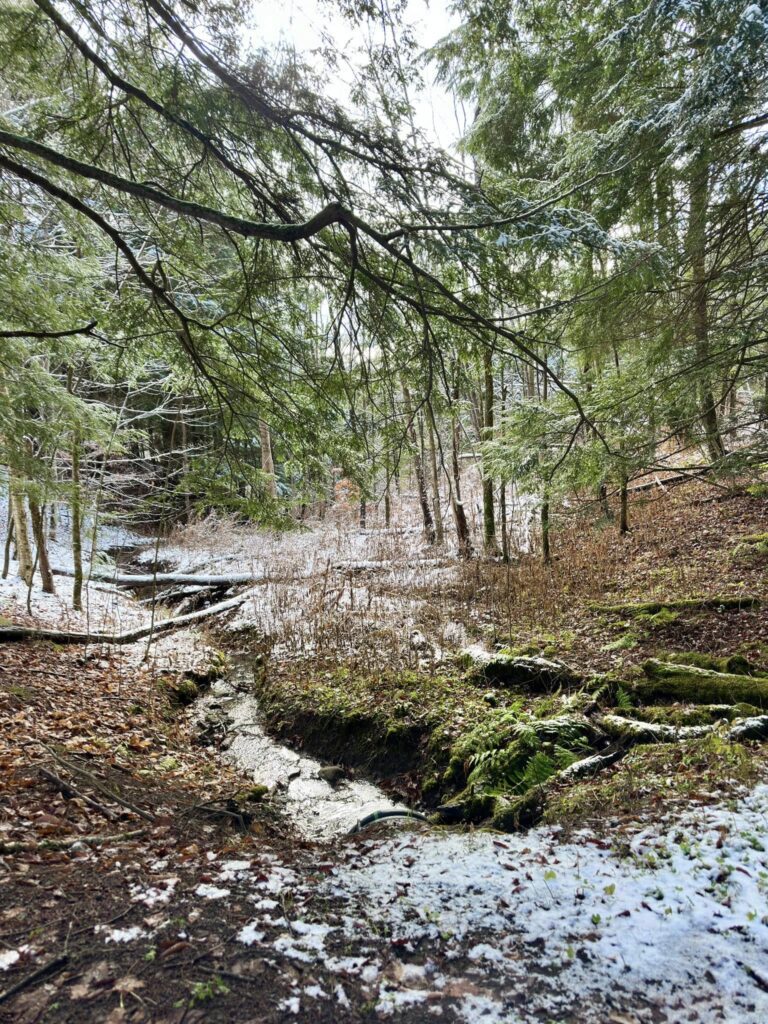 Deerfield Wilderness Park