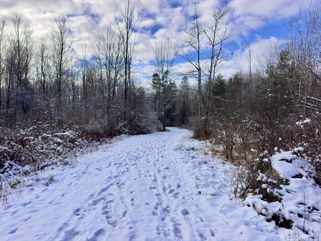 Deerfield Wilderness Park