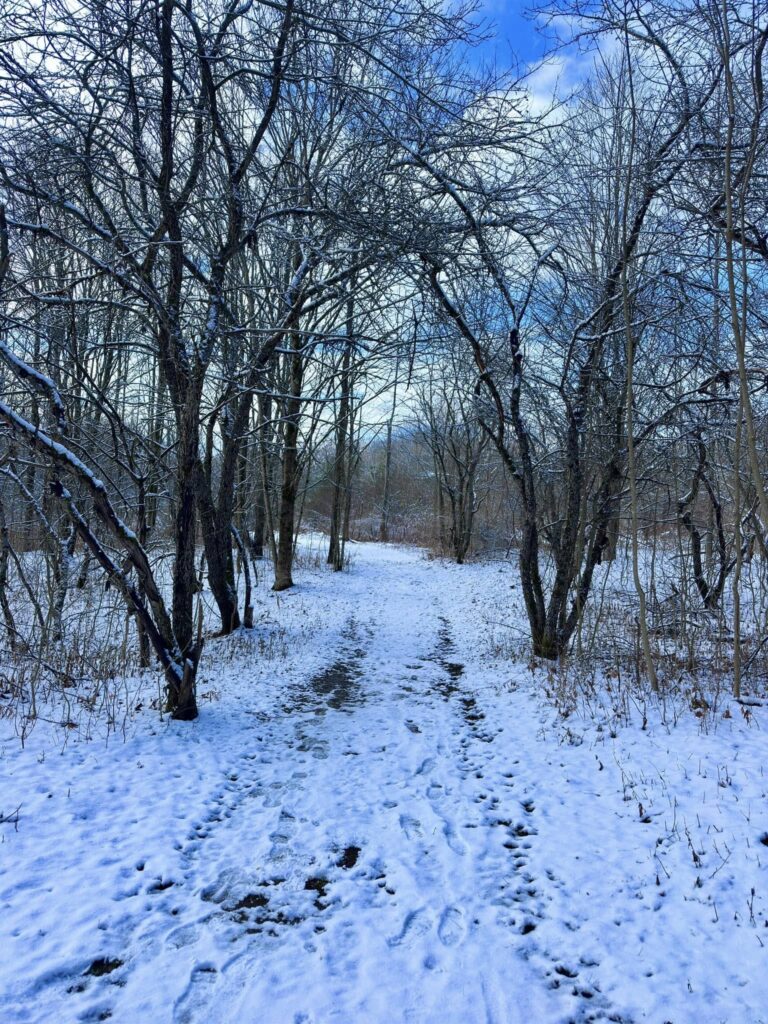 Deerfield Wilderness Park