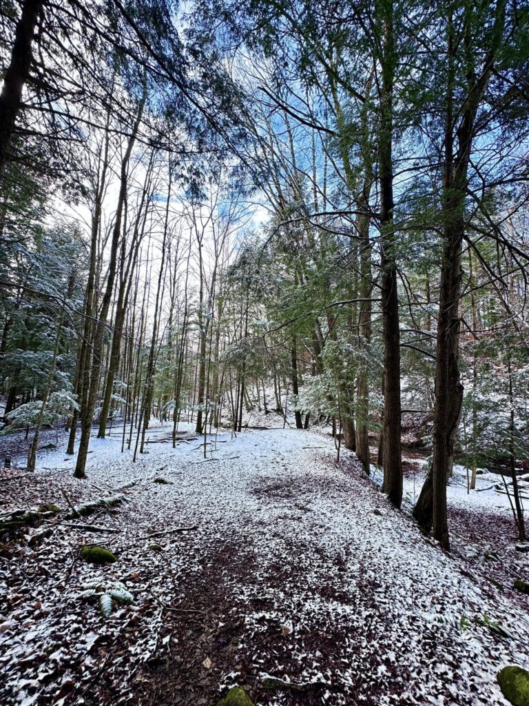 Deerfield Wilderness Park