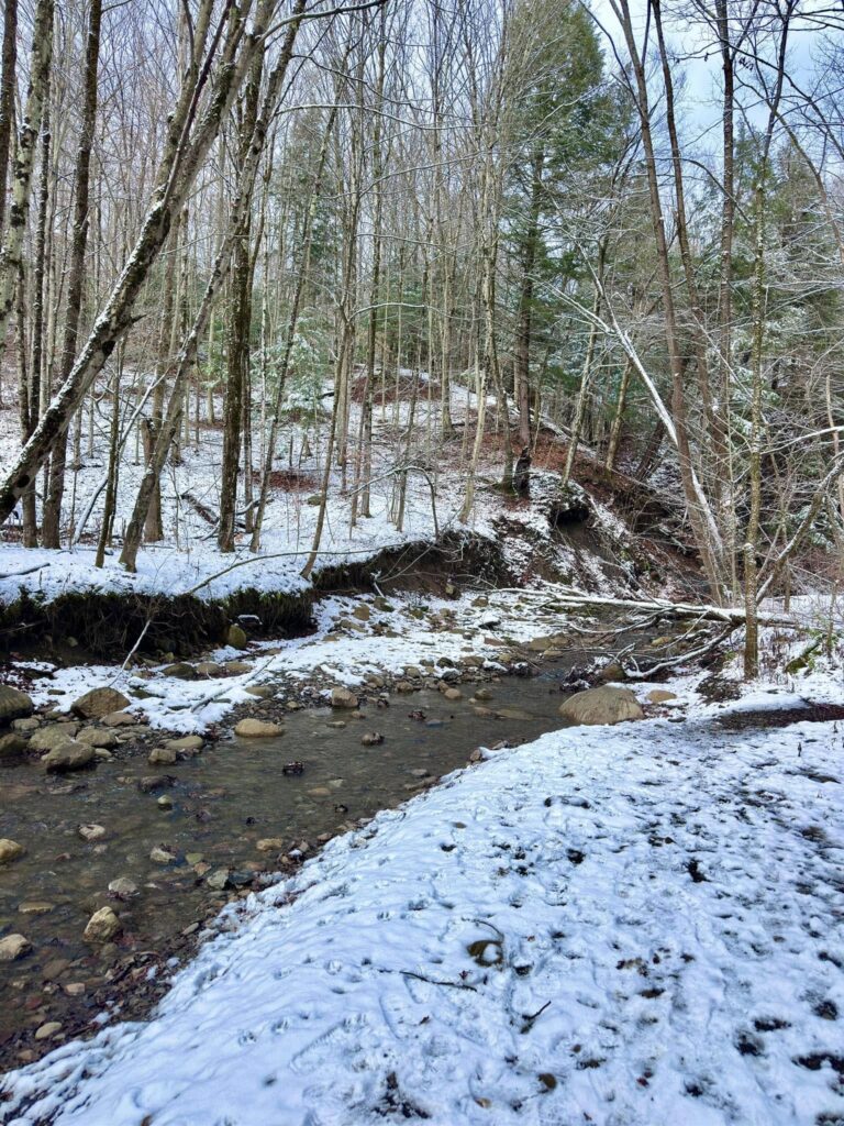 Deerfield Wilderness Park