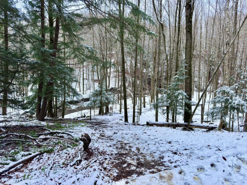 Deerfield Wilderness Park