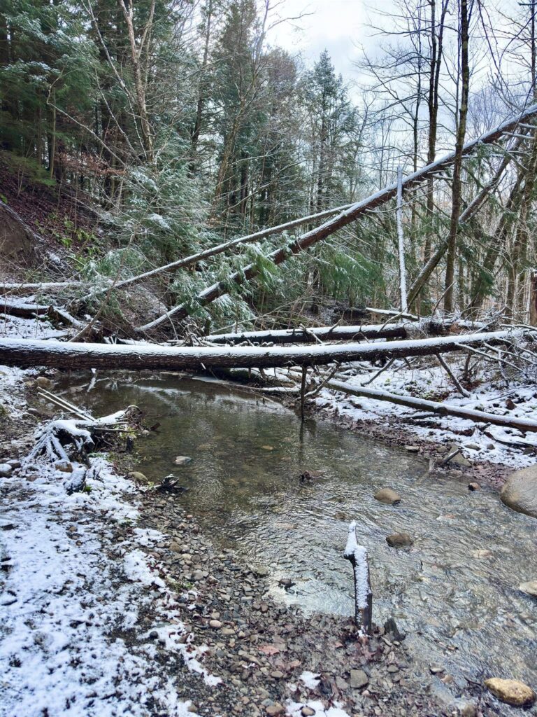 Deerfield Wilderness Park