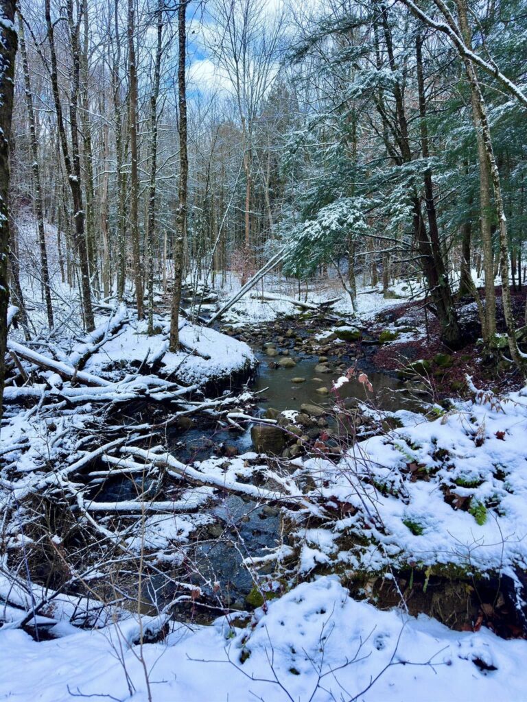 Deerfield Wilderness Park