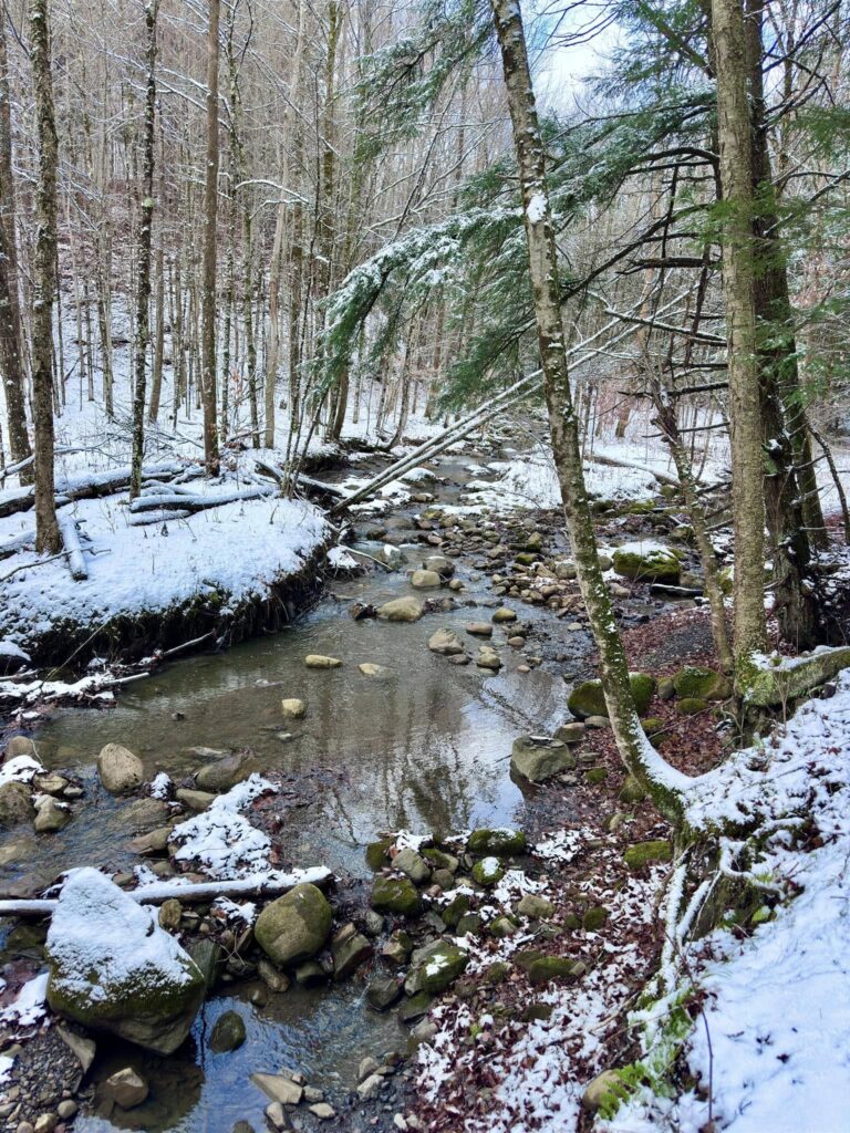 Deerfield Wilderness Park