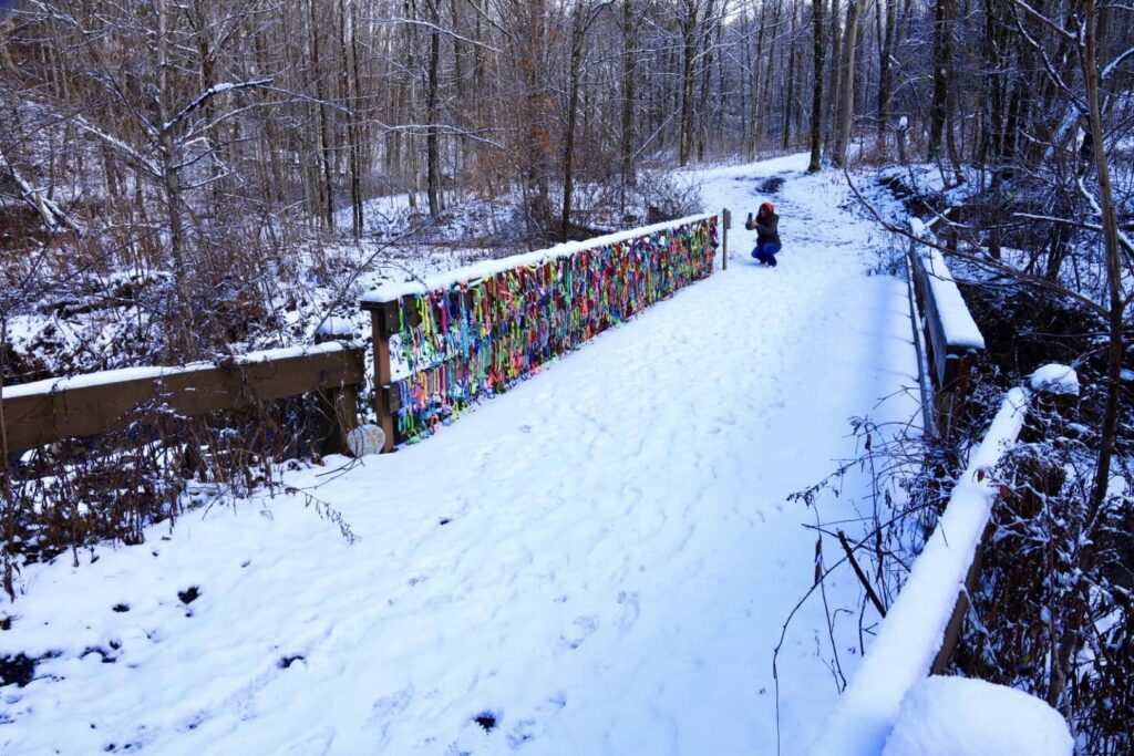 Deerfield Wilderness Park