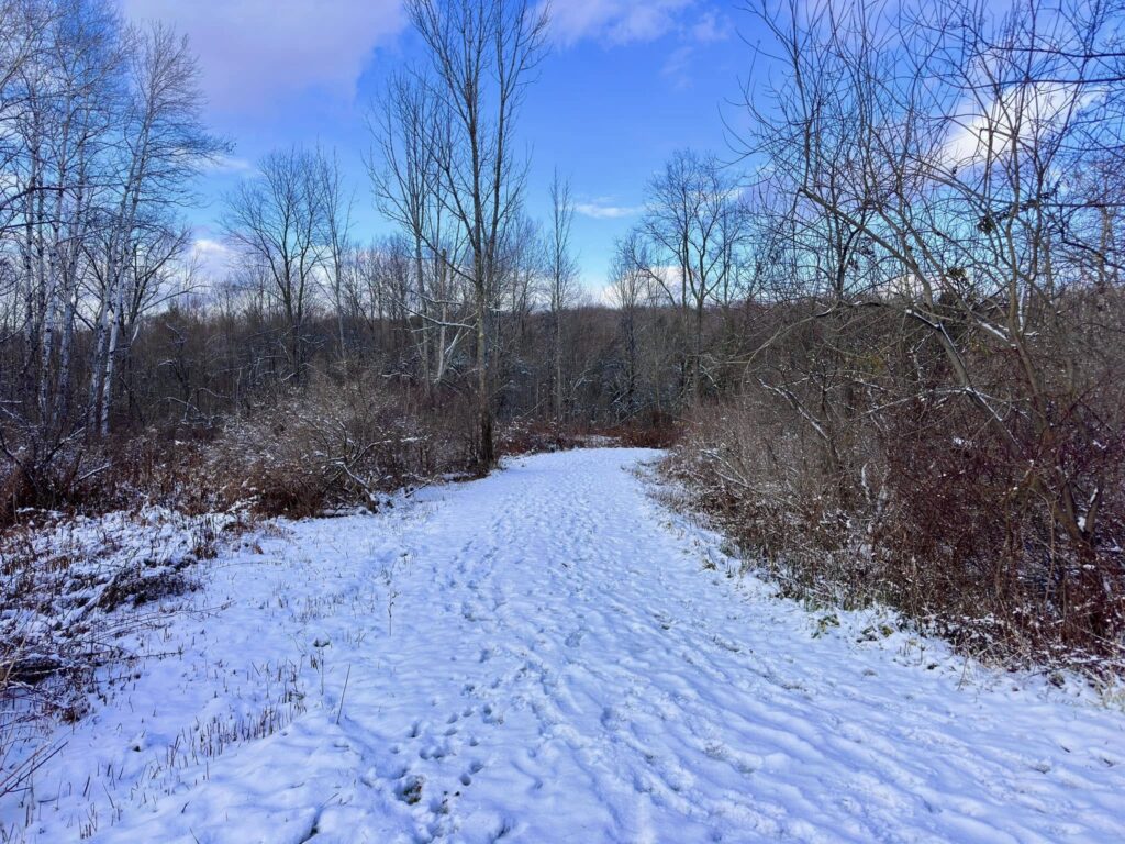 Deerfield Wilderness Park